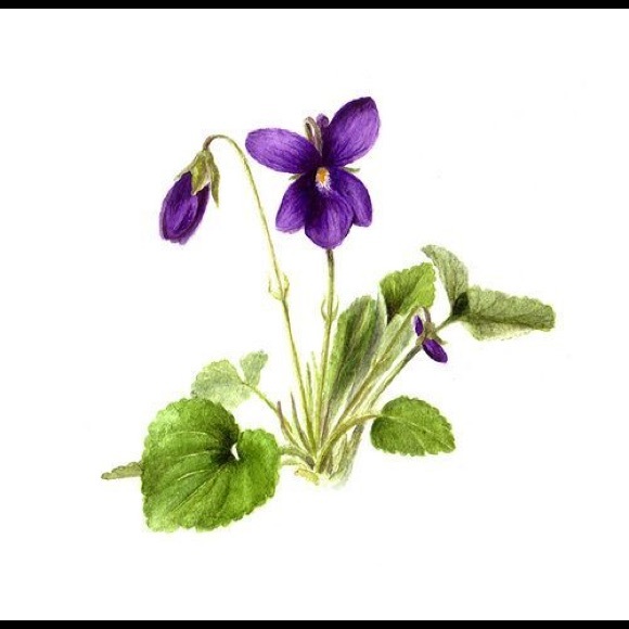 Meet your Posher, Amy - Picture 1 of 1